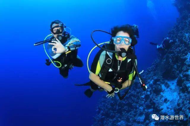 贵州草海国家级自然保护区，迎来黑颈鹤越冬高峰